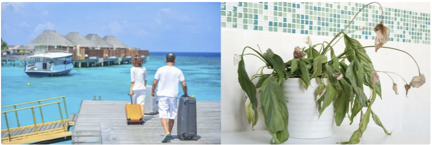 vacation.png