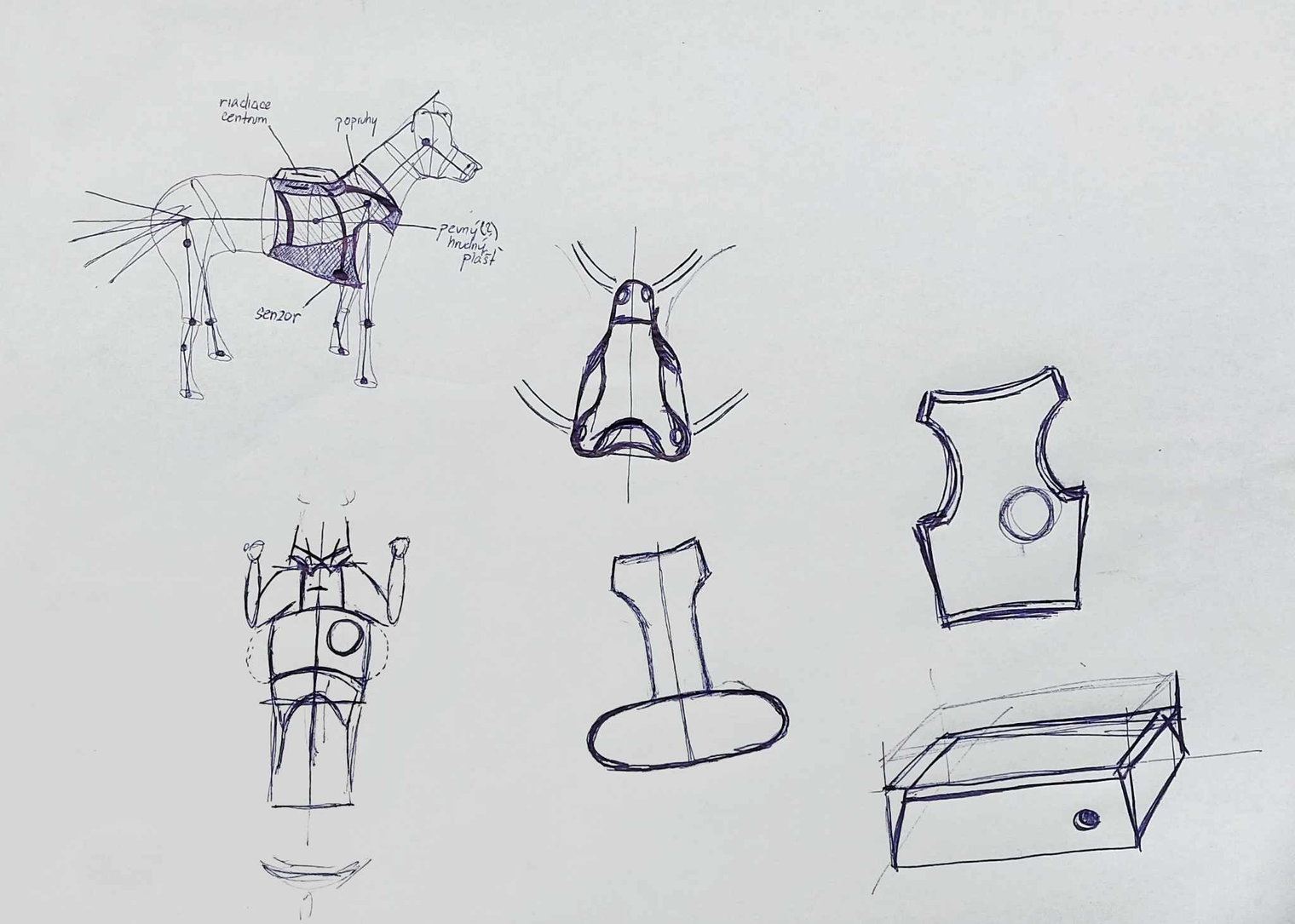 Initial Sketches